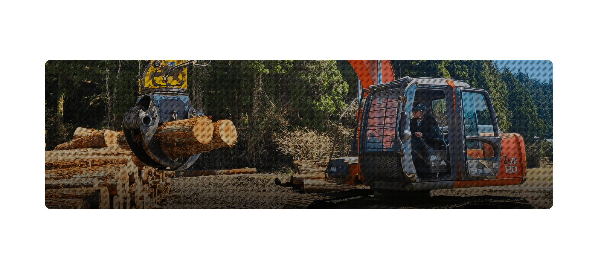 株式会社フォレストコンサル