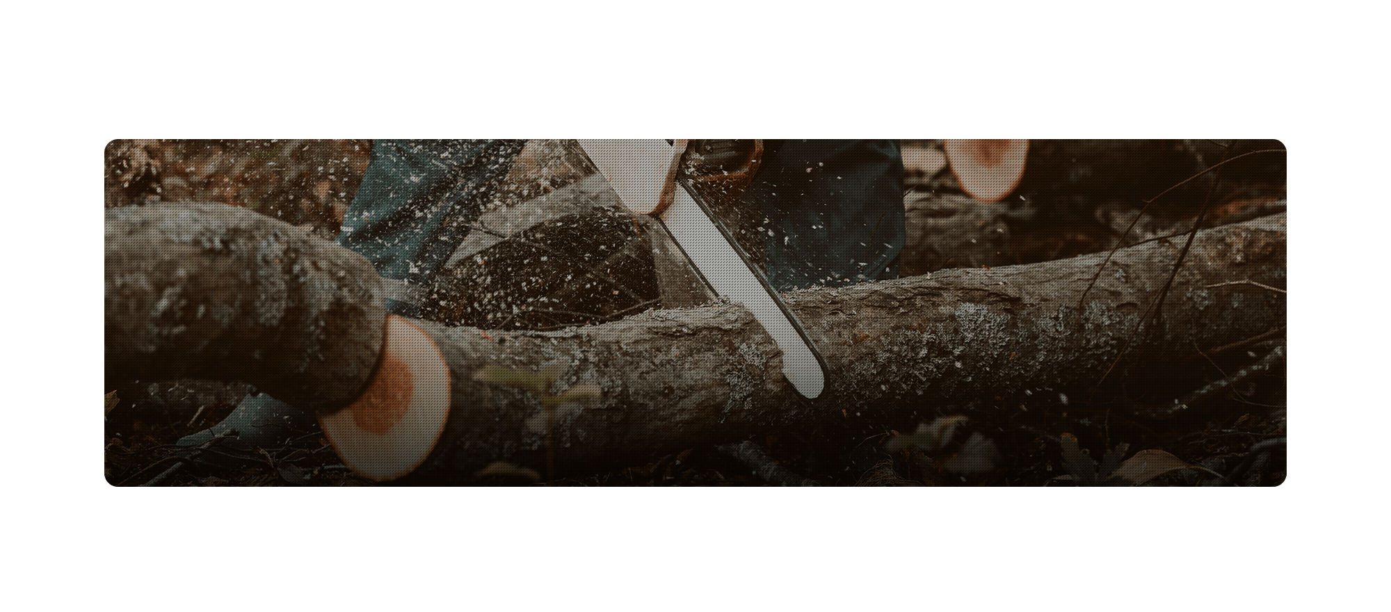 株式会社フォレストコンサル